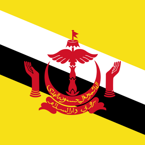 Brunei Darussalam eSIM