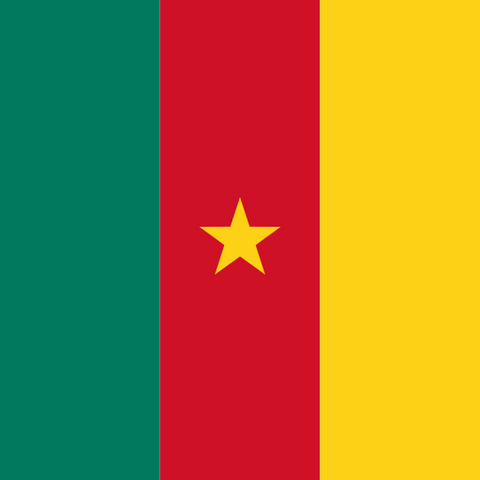 Cameroon eSIM